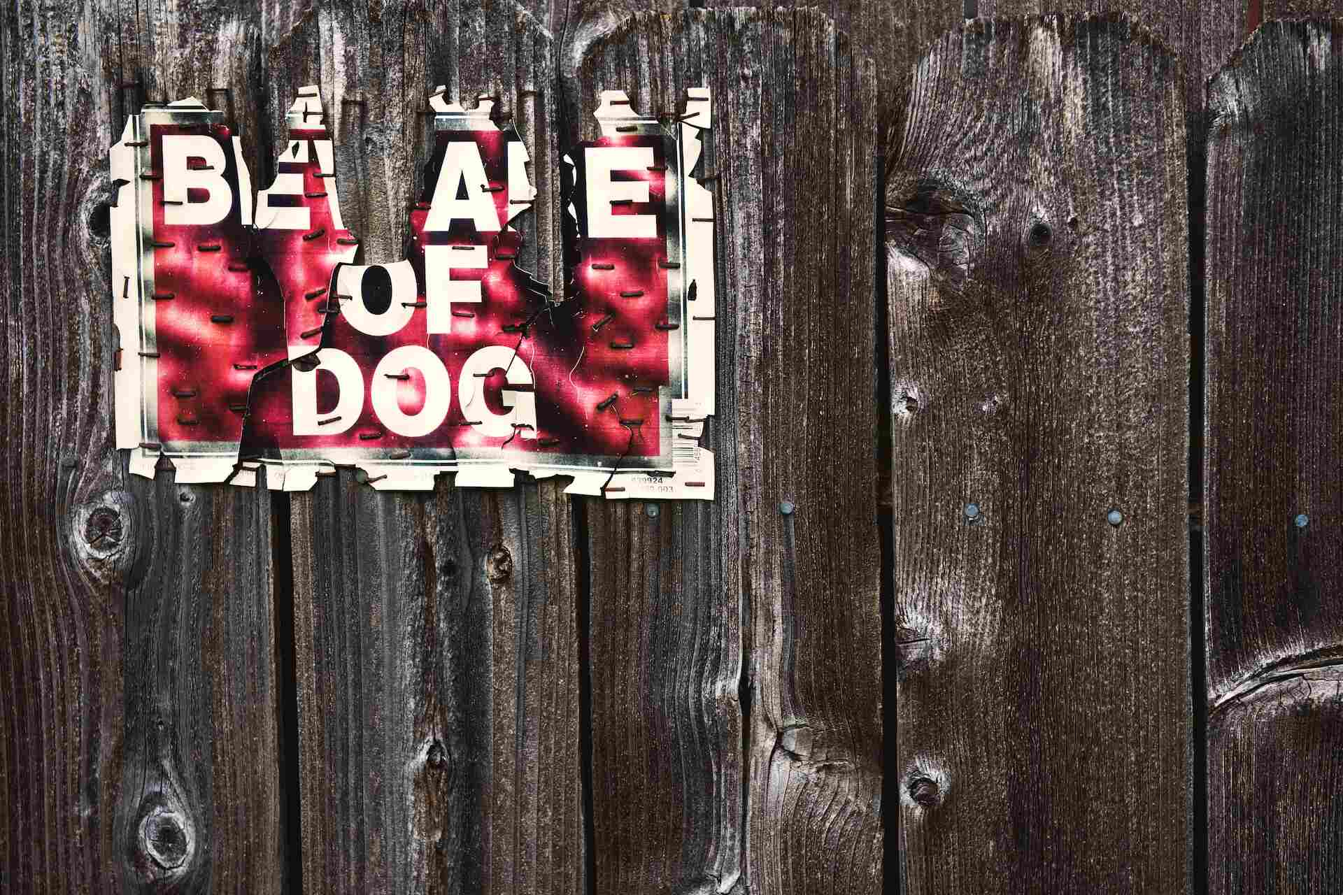 beware of dog sign on wooden fence